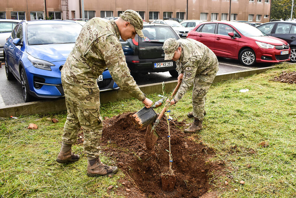 <p>Poručeno je da su danas zaposleni KCCG i Vojske Crne Gore počeli sa sadnjom čime će se oplemeniti krug ustanove</p>