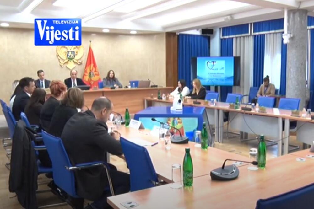 Odbor za zdravstvo, Foto: TV Vijesti (printscreen)