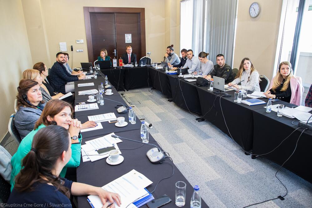 Sa održane radionice, Foto: Skupština Crne Gore