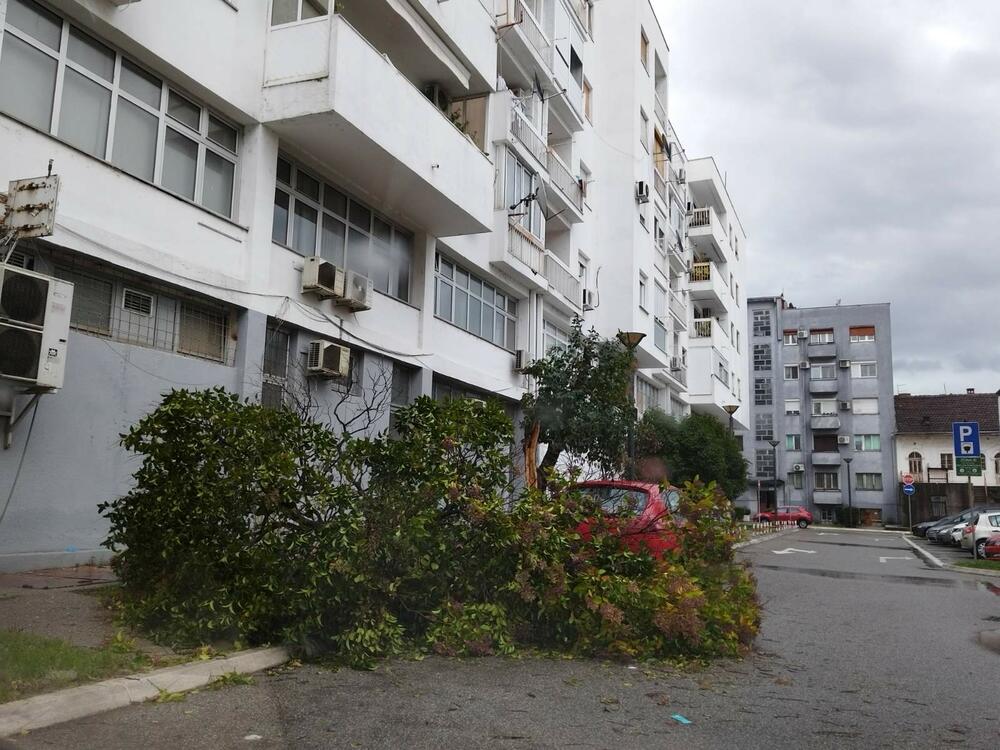 <p>Ekipe "Zelenila" kasno sinoć izašle na teren kako bi sanirale posljedice nevremena i obezbijedile nesmetane uslove za kretanje pješaka i saobraćaja</p>  <div contenteditable="false" tabindex="-1"> </div>