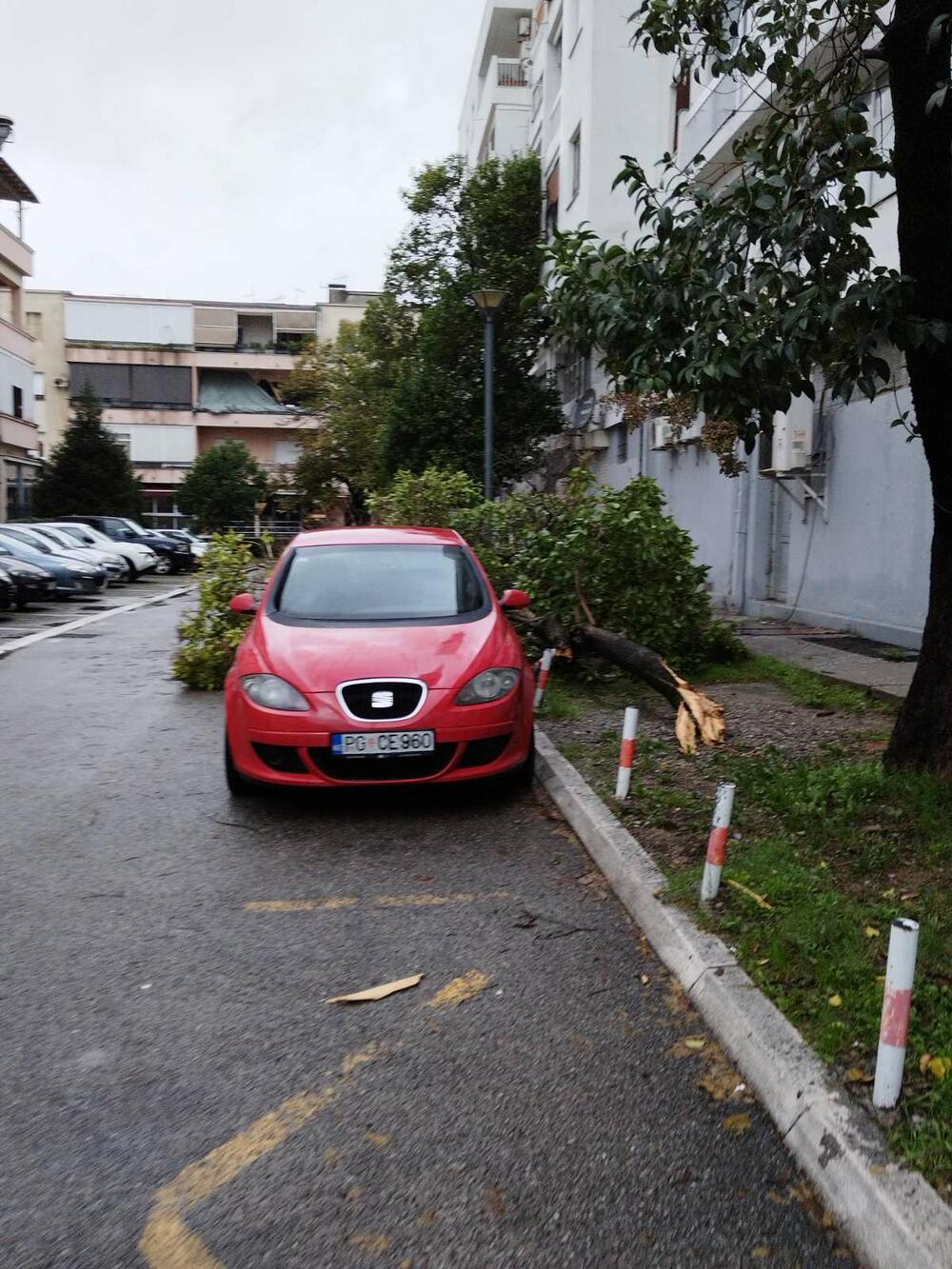 <p>Ekipe "Zelenila" kasno sinoć izašle na teren kako bi sanirale posljedice nevremena i obezbijedile nesmetane uslove za kretanje pješaka i saobraćaja</p>  <div contenteditable="false" tabindex="-1"> </div>
