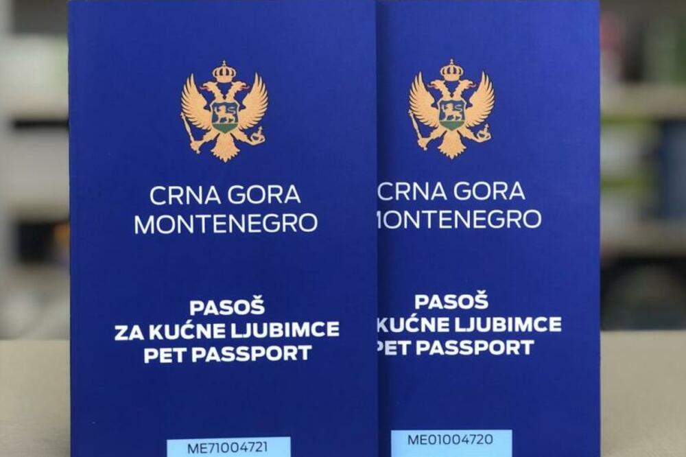 Foto: Institut za javno zdravlje