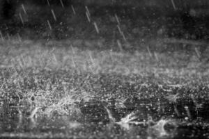ZHMS izdao upozorenje na obilnu kišu, jak južni vjetar u petak i...