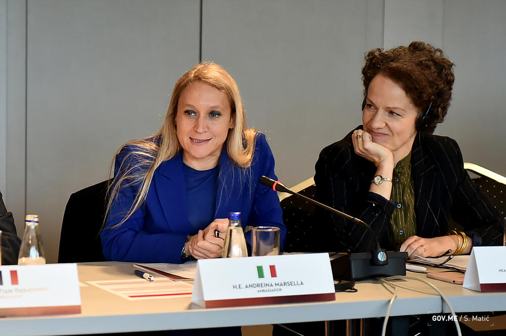 <p>Kako su rekli iz policije, cilj tog događaja, koji je održan uz podršku partnera iz ICITAP-a, je da se zajedničkim djelovanjem ostvari veći stepen koordinacije donatorske podrške i da se definišu prioriteti materijalno tehničkog opremanja i stručnog usavršavanja<br /> </p>