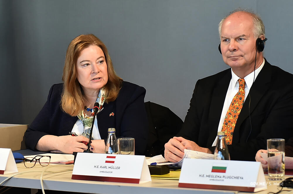 <p>Kako su rekli iz policije, cilj tog događaja, koji je održan uz podršku partnera iz ICITAP-a, je da se zajedničkim djelovanjem ostvari veći stepen koordinacije donatorske podrške i da se definišu prioriteti materijalno tehničkog opremanja i stručnog usavršavanja<br /> </p>