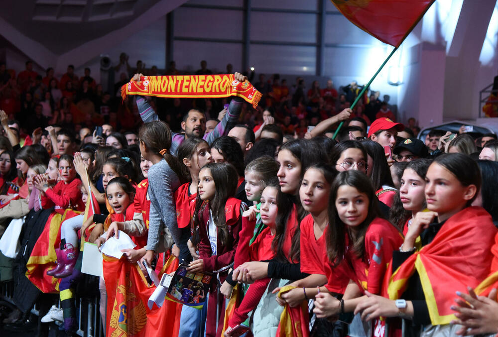 <p>Svečani doček u Bemax areni priređen je večeras crnogorskim rukometašicama.</p>  <p>“Lavice” su u nedjelju napravile pravi podvig, osvojile bronzanu evropsku medalju, pobijedivši Francusku u Ljubljani u borbi za treće mjesto.</p>  <p>Večerašnji doček bio je, na neki način, i kraj velike žurke, koja je počela u dvorani Morača, na prve tri utakmice grupne faze, na kojima su navijači napravili spektakularnu atmosferu, nosili naš tim do tri pobjede i najavili fantastičan kraj turnira...</p>