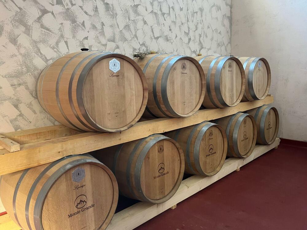 <p>Reporterke “Magazina” u obilasku crnogorskih vinarija centralne regije</p>