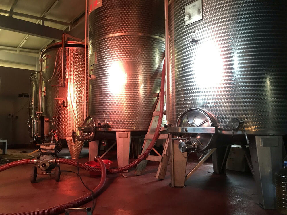 <p>Reporterke “Magazina” u obilasku crnogorskih vinarija centralne regije</p>