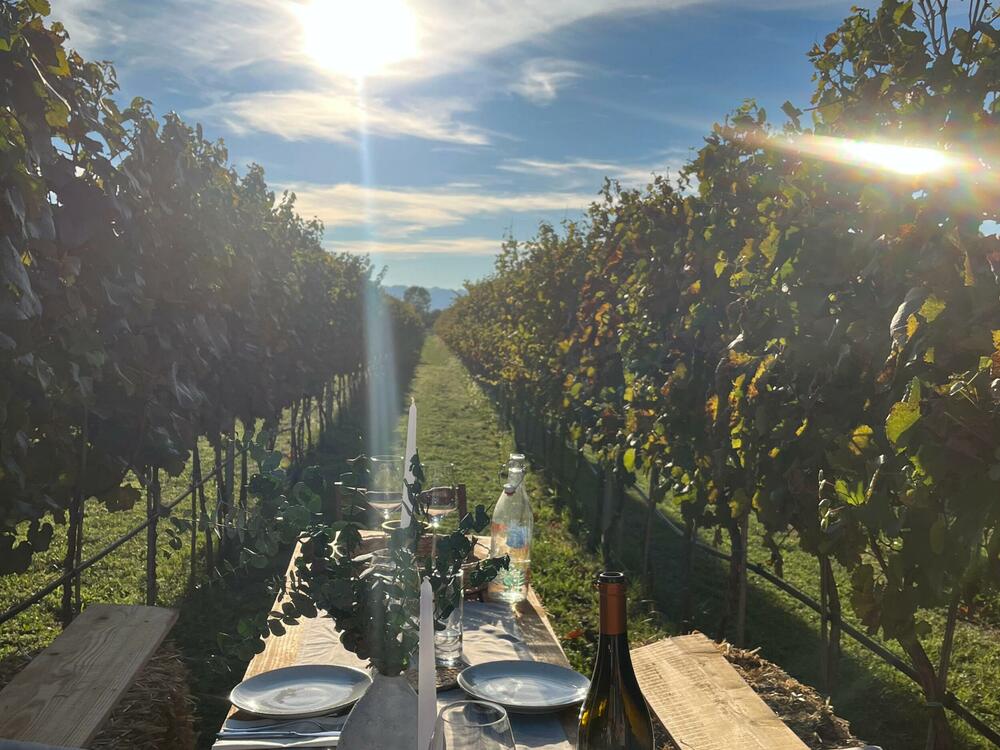 <p>Reporterke “Magazina” u obilasku crnogorskih vinarija centralne regije</p>