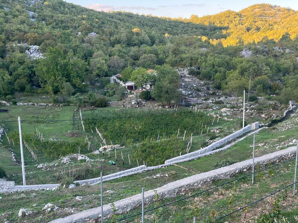 <p>Reporterke “Magazina” u obilasku crnogorskih vinarija centralne regije</p>