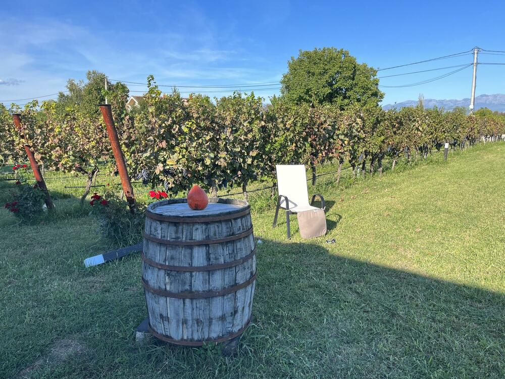 <p>Reporterke “Magazina” u obilasku crnogorskih vinarija centralne regije</p>