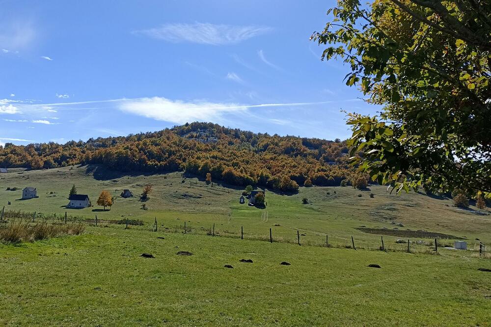 Foto: ATK Zeleni brijeg