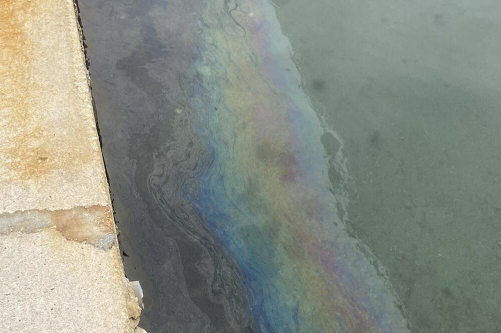 Foto: Siniša Luković