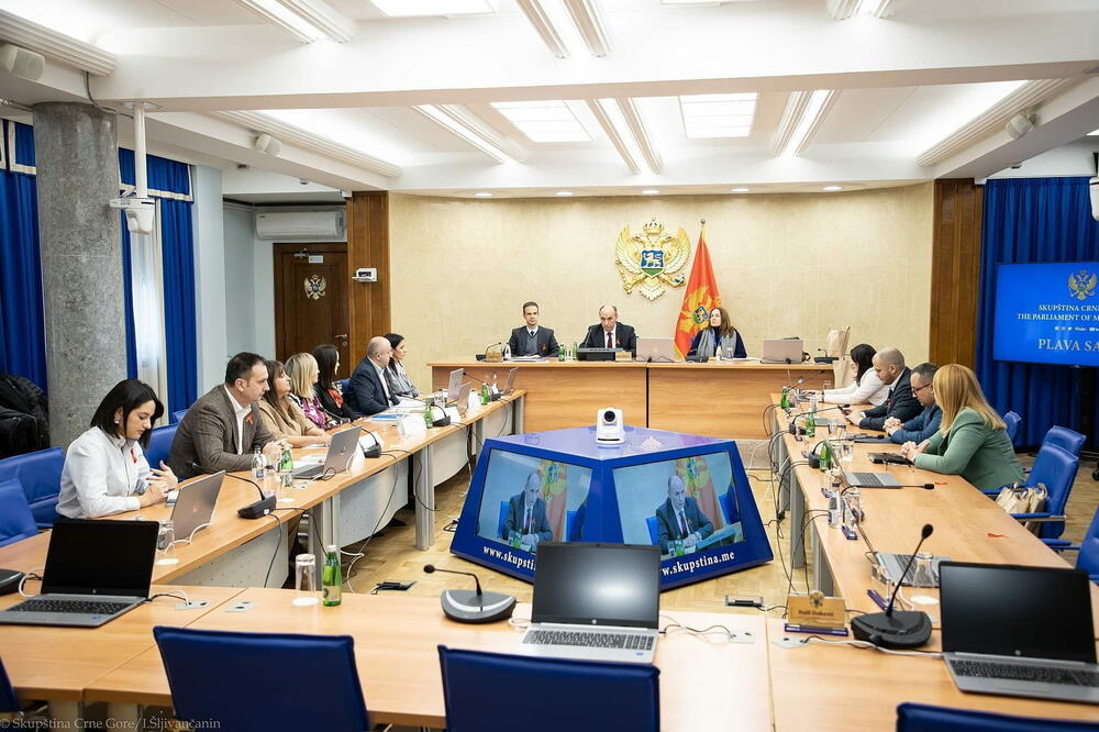 Petina zaraženih ne zna da je pozitivna na HIV, Foto: Skupština