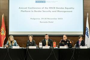 Adžić: Afirmišemo princip rodne ravnopravnosti u sektoru...