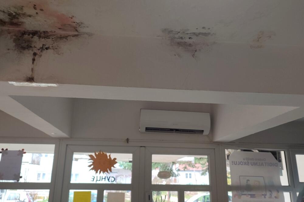 Foto: Svetlana Mandić