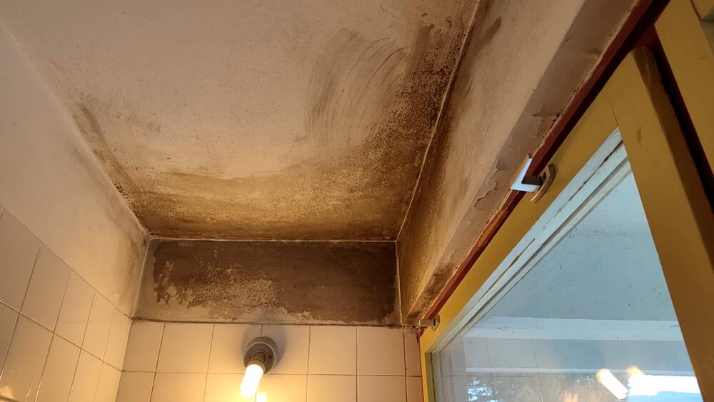 <p>&bdquo;Taj problem datira godinama unazad i na tom krovu je bilo intervencija, ali u pitanju je velika površina, zahtjevan krov sa kupolama, a voda nađe svoj put. Sve što možemo mi radimo da saniramo", kazala je direktorica Javne predškolske ustanove "Dragan Kovačević" Snežana Zogović</p>