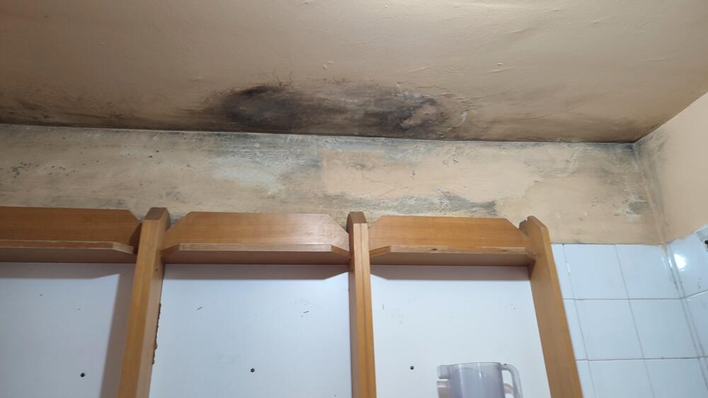 <p>&bdquo;Taj problem datira godinama unazad i na tom krovu je bilo intervencija, ali u pitanju je velika površina, zahtjevan krov sa kupolama, a voda nađe svoj put. Sve što možemo mi radimo da saniramo", kazala je direktorica Javne predškolske ustanove "Dragan Kovačević" Snežana Zogović</p>