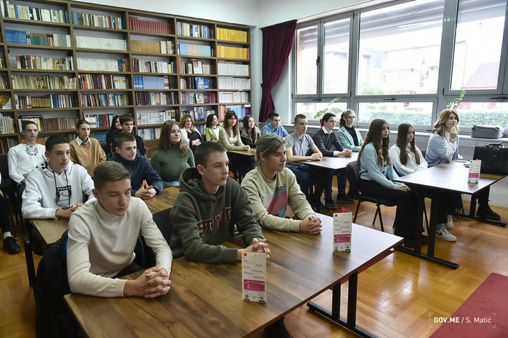 <p>"Evropska omladinska kartica je međunarodni društveno odgovorni program koji mladim ljudima u Crnoj Gori olakšava ulazak u svijet informacija, mobilnosti, neformalne edukacije i umrežavanja"</p>