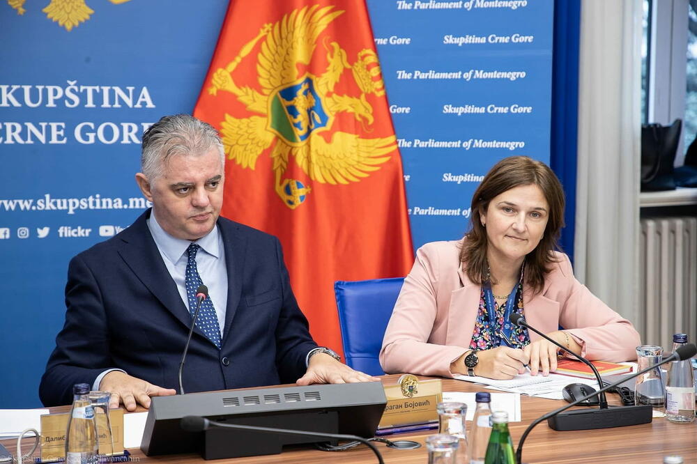 ”I oni koji nadziru moraju biti nadzirani”: Bojović, Foto: Skupština Crne Gore