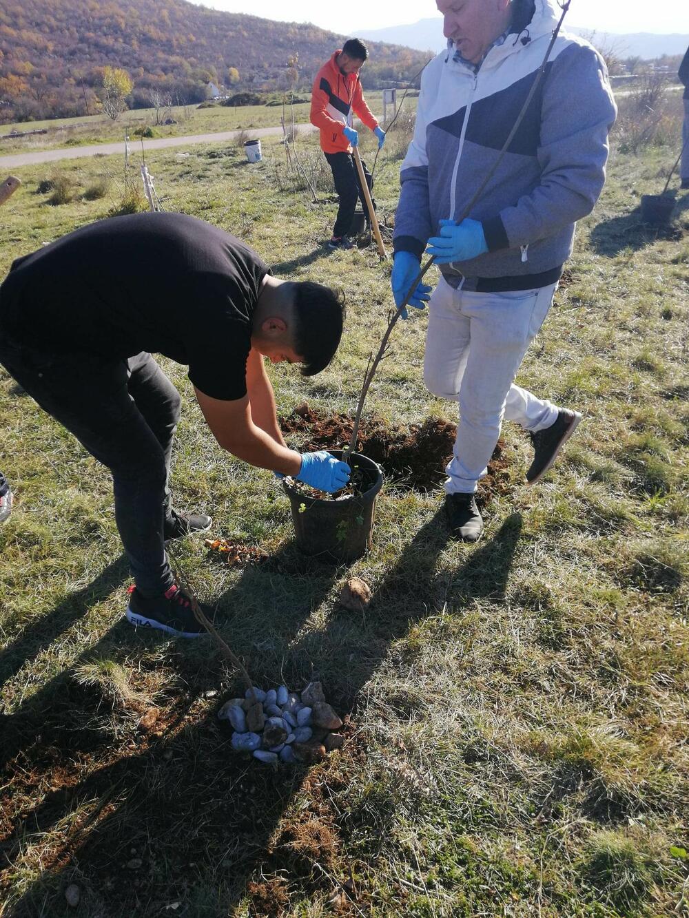 <p>„Svrha pošumljavanja je bila da se kod mladih sa ovog područja podigne svijest o značaju zaštite životne sredine i očuvanja biodiverziteta. Učesnici su bili zadovoljni učešćem u akciji i izrazili su želju da se nastavi sa sličnim aktivnostima“, kazala je koordinatorka projekta Snežana Danilović</p>