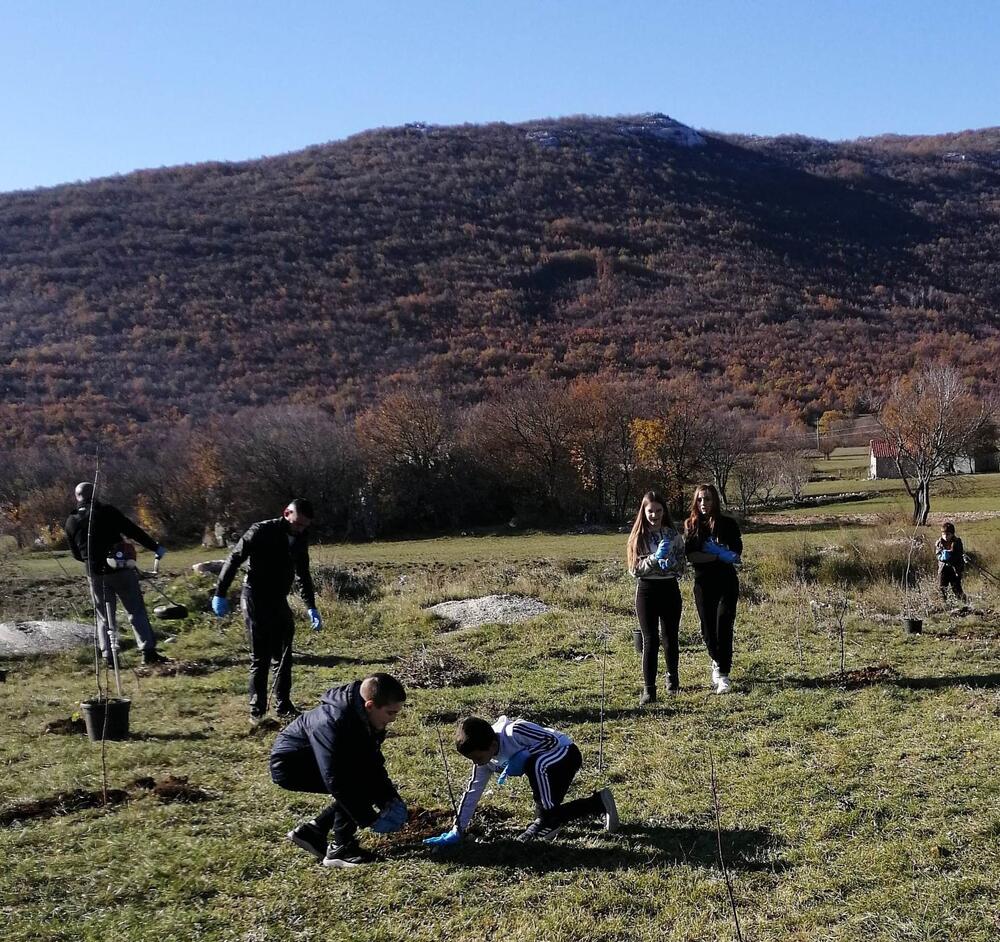 <p>„Svrha pošumljavanja je bila da se kod mladih sa ovog područja podigne svijest o značaju zaštite životne sredine i očuvanja biodiverziteta. Učesnici su bili zadovoljni učešćem u akciji i izrazili su želju da se nastavi sa sličnim aktivnostima“, kazala je koordinatorka projekta Snežana Danilović</p>