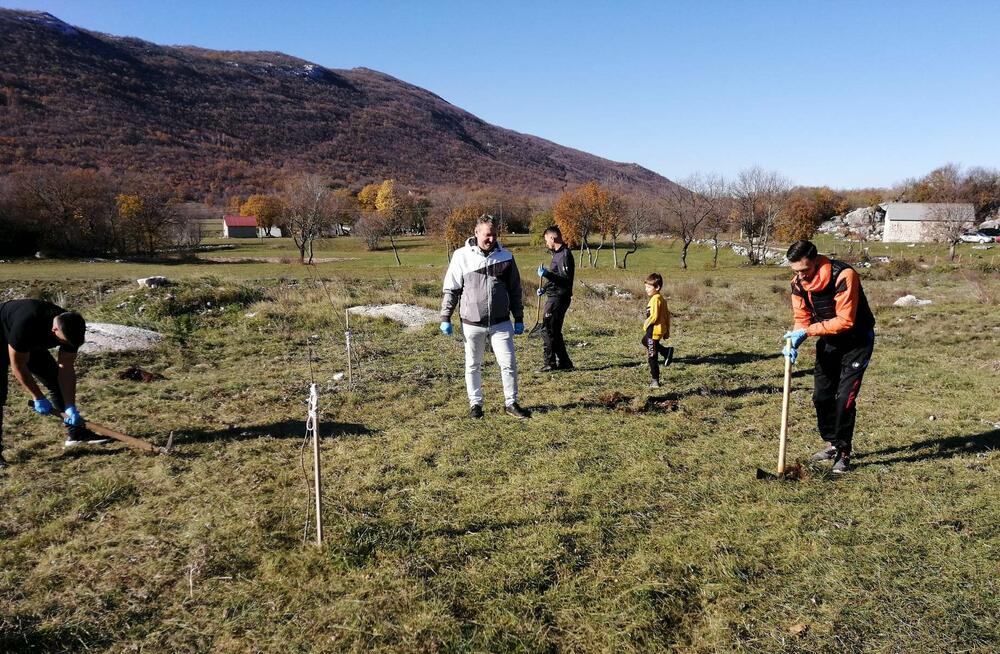 <p>„Svrha pošumljavanja je bila da se kod mladih sa ovog područja podigne svijest o značaju zaštite životne sredine i očuvanja biodiverziteta. Učesnici su bili zadovoljni učešćem u akciji i izrazili su želju da se nastavi sa sličnim aktivnostima“, kazala je koordinatorka projekta Snežana Danilović</p>