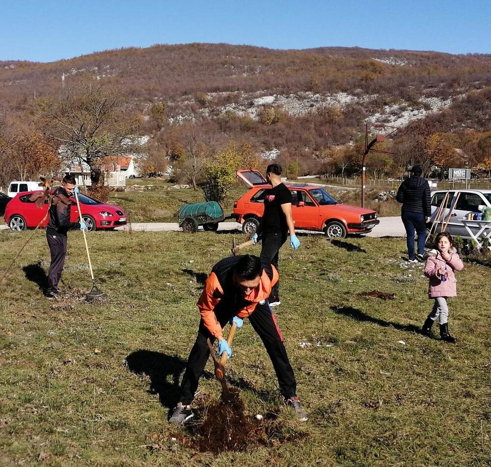 <p>„Svrha pošumljavanja je bila da se kod mladih sa ovog područja podigne svijest o značaju zaštite životne sredine i očuvanja biodiverziteta. Učesnici su bili zadovoljni učešćem u akciji i izrazili su želju da se nastavi sa sličnim aktivnostima“, kazala je koordinatorka projekta Snežana Danilović</p>