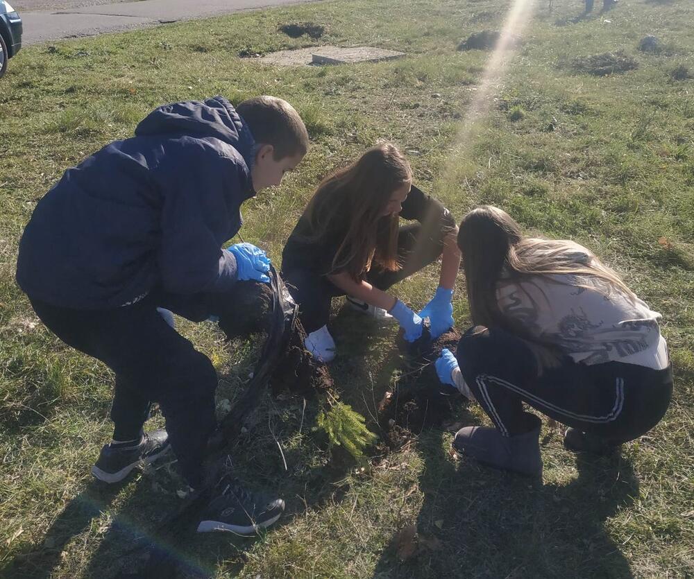 <p>„Svrha pošumljavanja je bila da se kod mladih sa ovog područja podigne svijest o značaju zaštite životne sredine i očuvanja biodiverziteta. Učesnici su bili zadovoljni učešćem u akciji i izrazili su želju da se nastavi sa sličnim aktivnostima“, kazala je koordinatorka projekta Snežana Danilović</p>