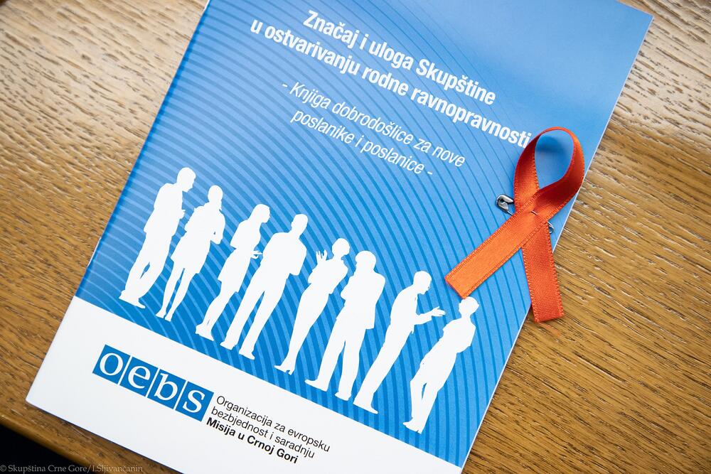 <p>Jelušić je kazala da su četiri femicida, koja su se prošle godine dogodila u Crnoj Gori, pokazale nemoć institucija da prevenira nasilje na adekvatan način</p>