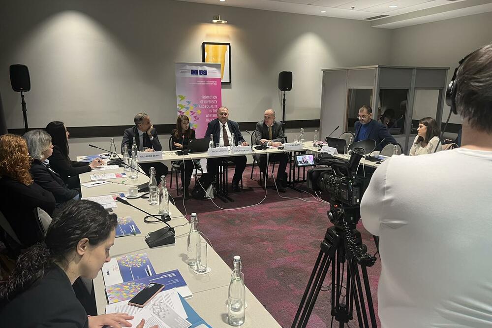 Sa konferencije na kojoj su predstavljeni rezultati istraživanja, Foto: COE