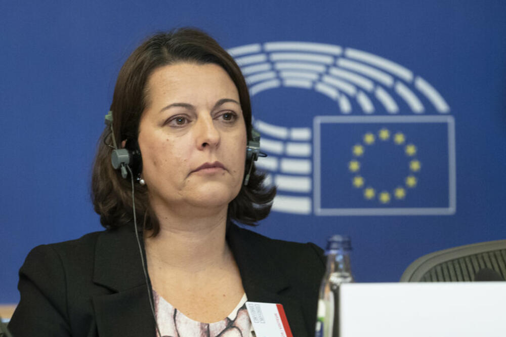 Vujović, Foto: Demokratska Crna Gora