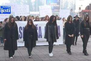 Marš žena u Beranama: Sjever pogodniji za nasilje nad ženama zbog...