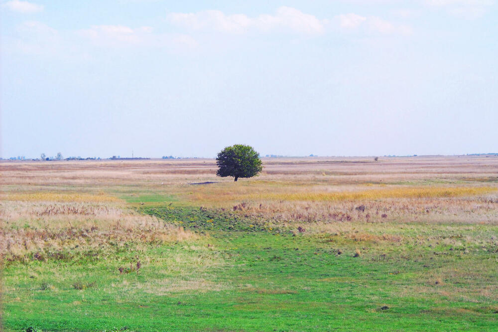 Foto: Wikimedia Commons