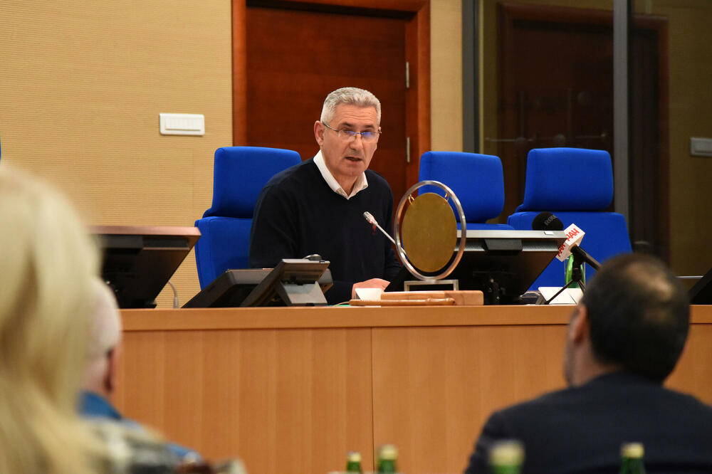 Predsjednik se stara o pravilnoj primjeni Poslovnika: Vukčević, Foto: Luka Zekovic
