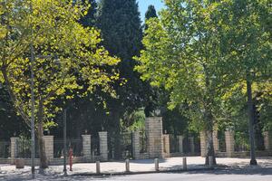 Završena geofizička istraživanja terena, Kraljev park uskoro...