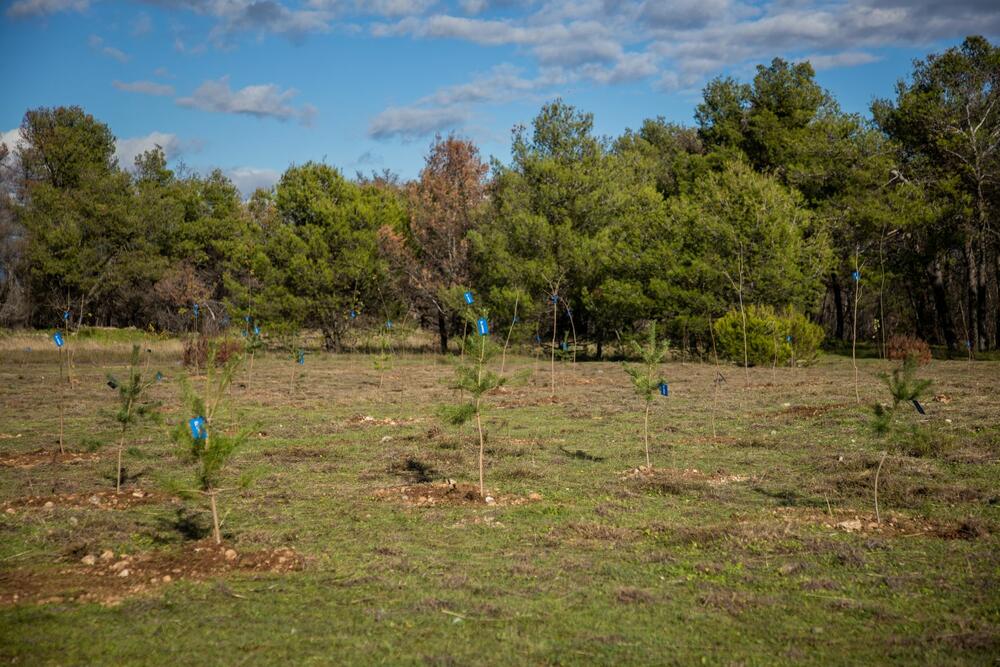 <p>U skladu sa svojim krovnim sloganom „Živimo bolje zajedno“ i strategijom poslovanja, UNIQA će inicirati različite društveno odgovorne aktivnosti za očuvanje životne sredine i poboljšanje uslova života u zajednicama u kojima posluje.</p>