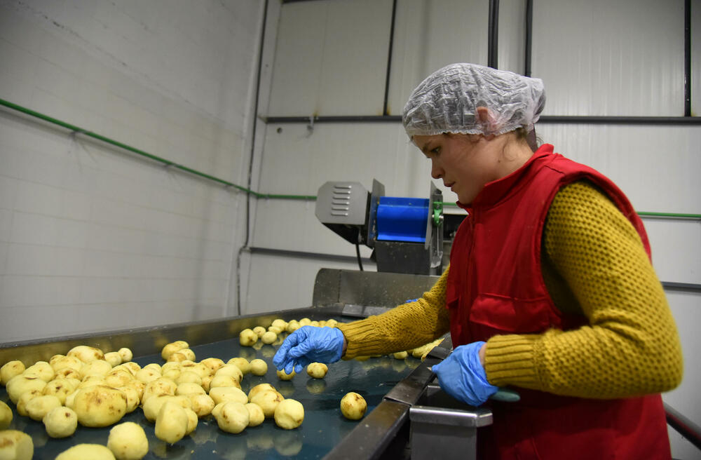 <p>Planirano je da se u početku proizvodi čips, dok će kasnije biti otvorene i linije za flips, krompir pire i pomfrit</p>