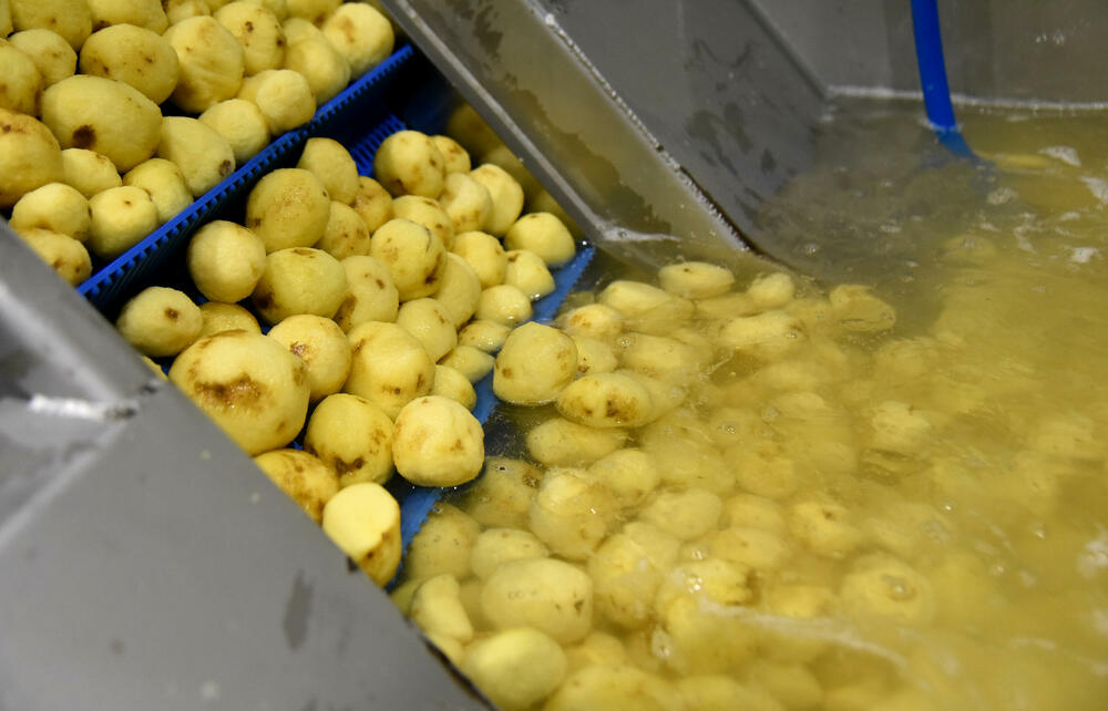 <p>Planirano je da se u početku proizvodi čips, dok će kasnije biti otvorene i linije za flips, krompir pire i pomfrit</p>