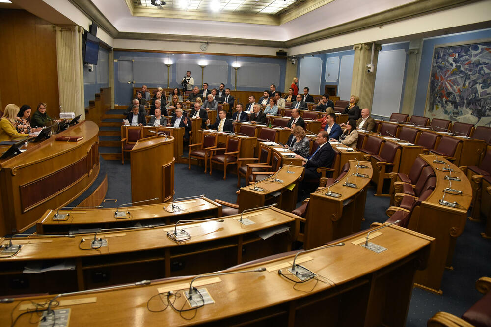 Skupština bez opozicije, Foto: Luka Zeković