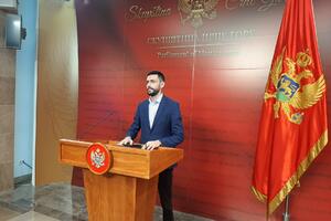 Živković: DPS neće glasati ni za jednog kandidata za Ustavni sud