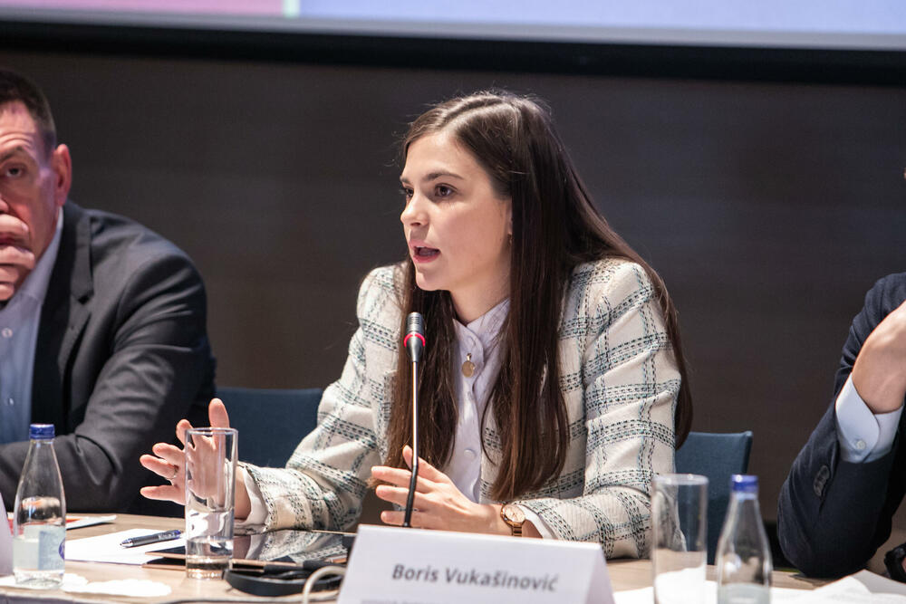 Institut alternativa