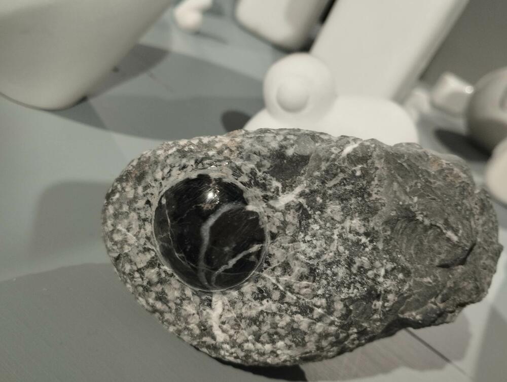 Milun Čvorović, Milun Miško Čvorović