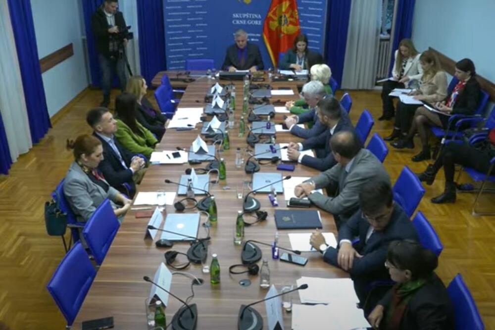 Sa sjednice, Foto: Youtube/Skupština Crne Gore