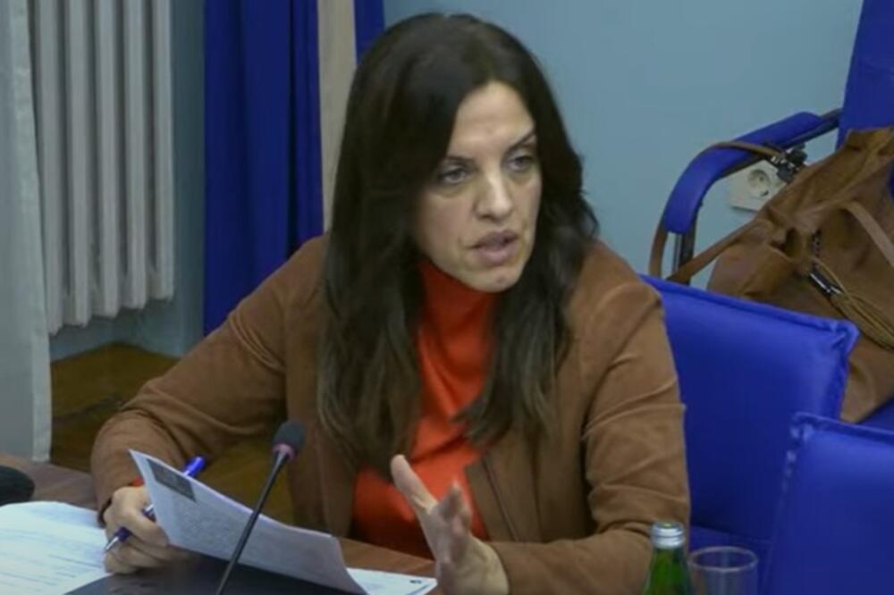 Kaluđerović juče na sjednici odbora, Foto: Youtube/Skupština Crne Gore