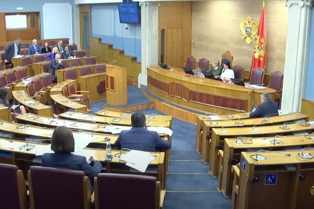 O zakonskim izmjenama poslanici će se izjasniti na skupštinskom zasijedanju koje je u toku, Foto: Printscreen YouTube/Skupština Crne Gore