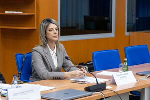 Draft Spatial Plan of Montenegro by the end of March