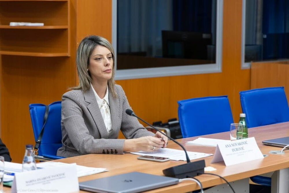 The drafts of four laws will soon be discussed in public: Novaković Đurović, Photo: Parliament of Montenegro