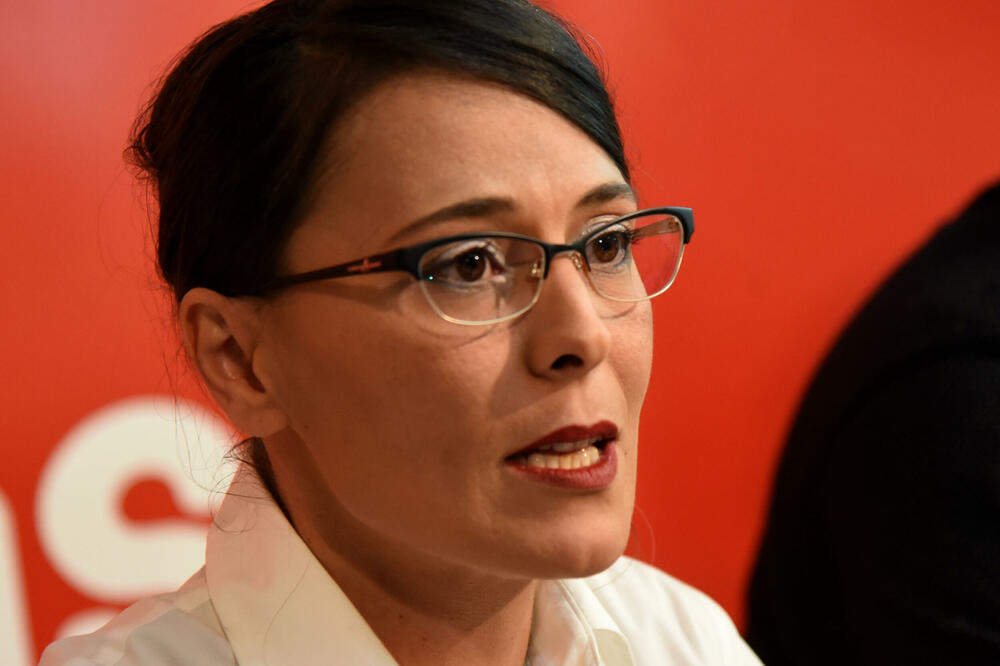 "Ovakav zakon se neće primjenjivati": Ćalović Marković, Foto: Luka Zekovic