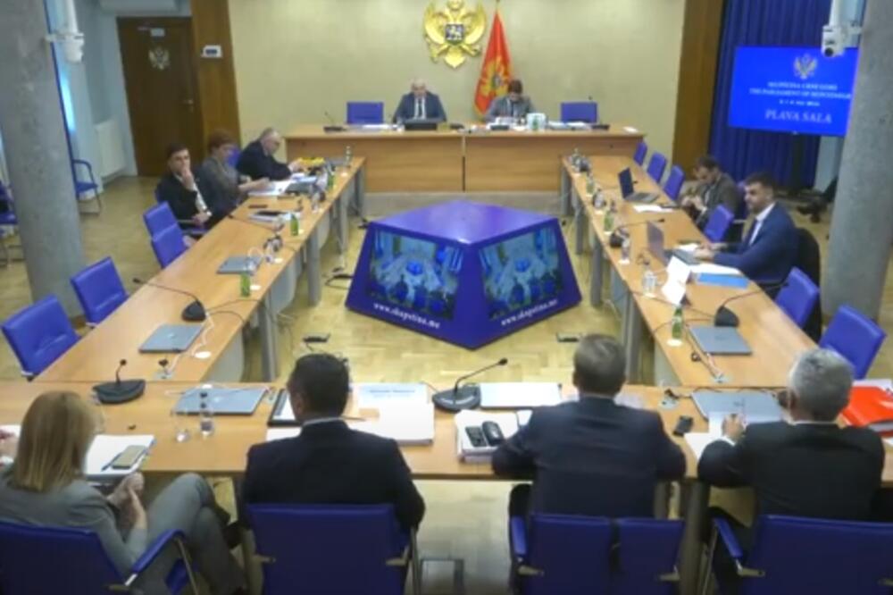 Sa sjednice odbora, Foto: Youtube/Skupština Crne Gore